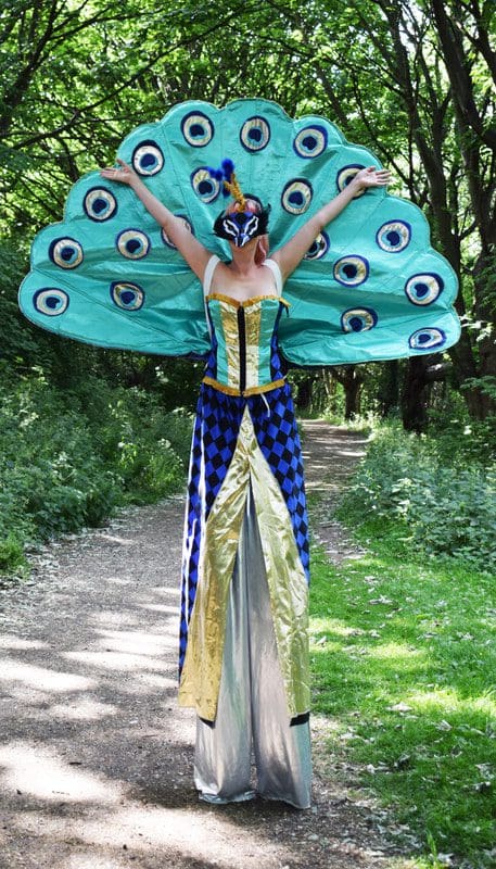 peacock-4_orig