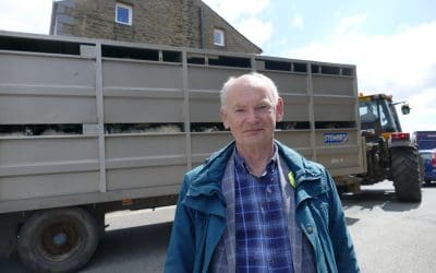 Our December Green Fair Feature